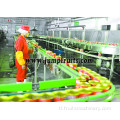 Maliit na linya ng produksyon ng automatictomato i -paste